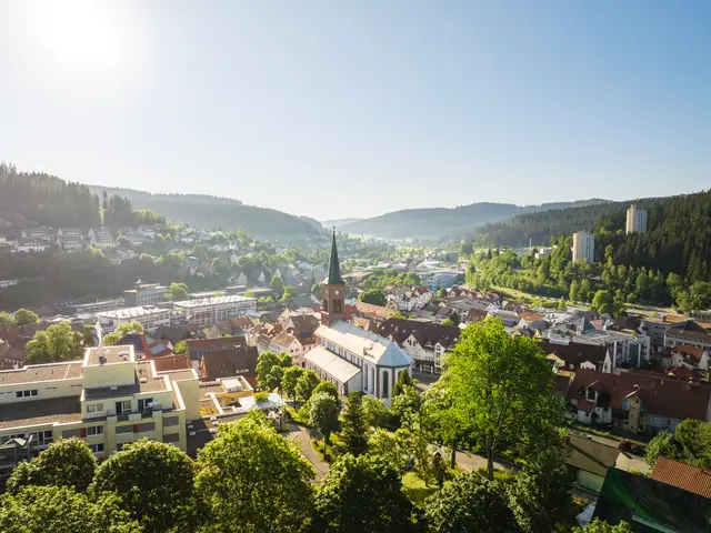 Objekt Dr. Guttenberg-Str. 1 - Furtwangen