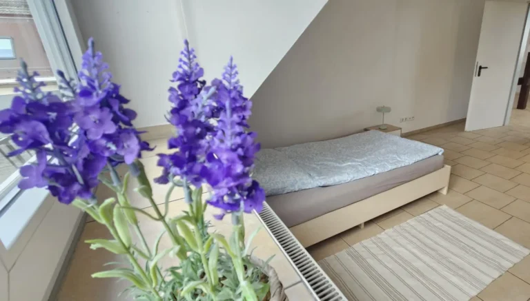 Wohnungsbild Chemnitzer Straße 44 – Einheit 450
