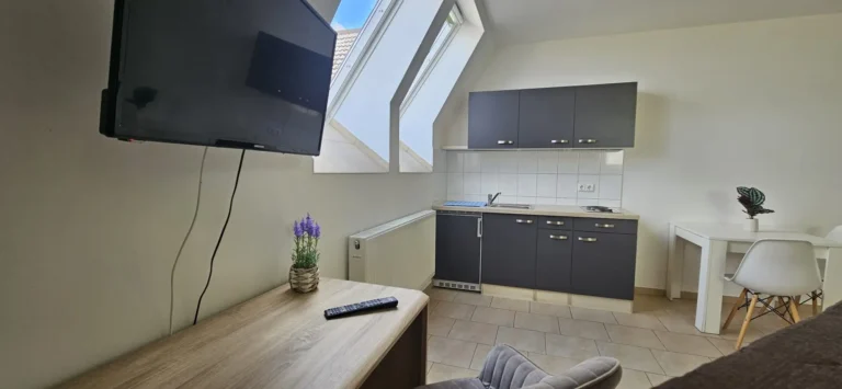 Wohnungsbild Chemnitzer Straße 44 – Einheit 450